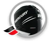 250 PRO VERADO (4-тактн.)(6-ЦИЛ.)