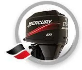 2-тактные EFI