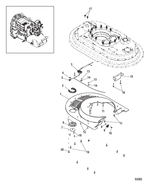 Midsection Lower