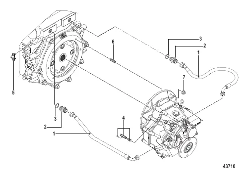 Transmission Hoses