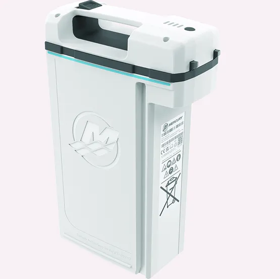 BATTERY 1 kWh