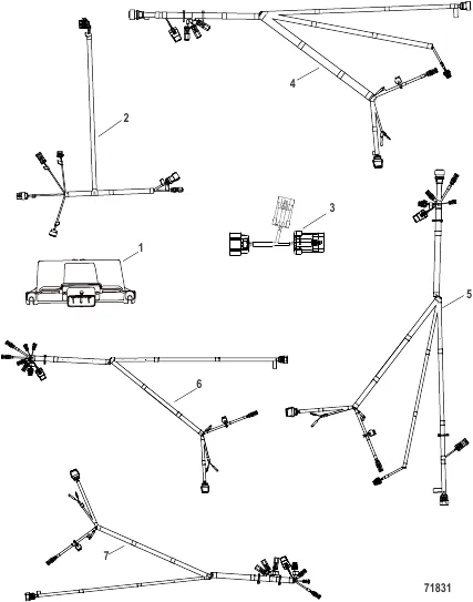 LCM and Helm Harnesses