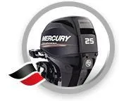 4-тактные от 2.5 до 150