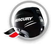 175 VERADO (4-ТАКТН.)(4-ЦИЛ.)