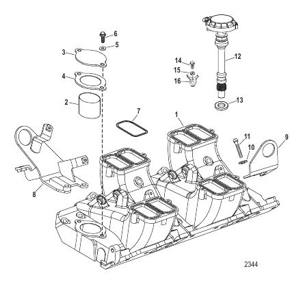 Intake Manifold And Components