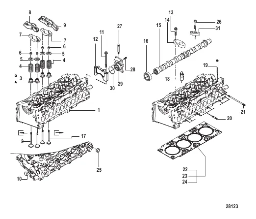 Camshaft and Cylinder Head