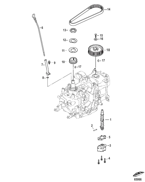 Camshaft and Oil Pump