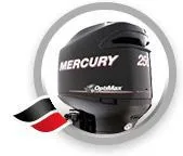 2-тактные DFI (Optimax)