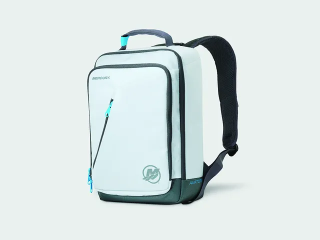 BATTERY BAG