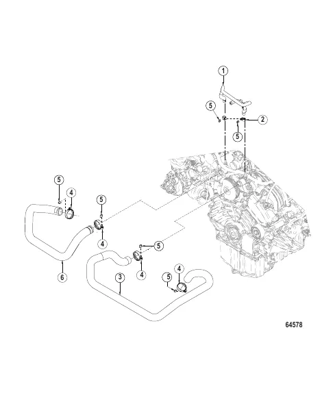 Cooling System Hoses, Circulating Pump