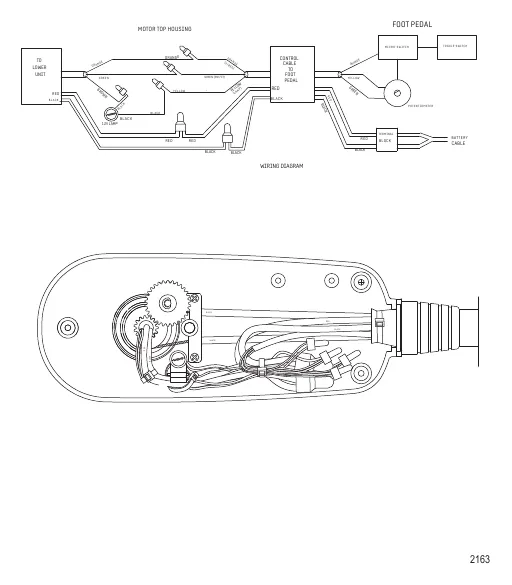 Схема электрических подключений (TR109FBD) (36 В)
