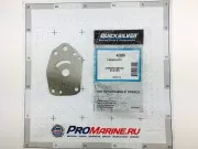 Пластина водяного насоса 6 / 8 / 9.9 / 15