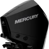 Мотор Mercury F 225 XL DS
