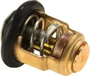 Термостат Yamaha