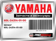 Шланг