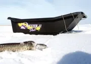 Сани рыбацкие Mini Sled (1110)