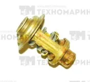 Термостат Mercury