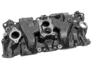 КОЛЛЕКТОР Впуск Mercury 17619