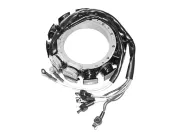 СТАТОР Mercury 9610A5