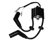 КАТУШКА В СБОРЕ Зажигание – в комплекте с проводами и колпачками Mercury 855685T