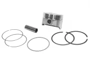 ПОРШЕНЬ В СБОРЕ Стандартн. Mercury 827664