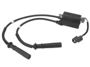 КАТУШКА Зажигание Mercury 888309