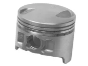 ПОРШЕНЬ В СБОРЕ Mercury 834963T01