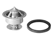 КОМПЛЕКТ ТЕРМОСТАТА Mercury 99155T1