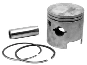 ПОРШЕНЬ В СБОРЕ Mercury 8484M