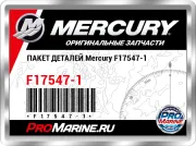 ПАКЕТ ДЕТАЛЕЙ Mercury F17547-1