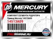КОМПЛЕКТ СЕГМЕНТА РЕДУКТОРА Привод Mercury 14513A09