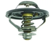ТЕРМОСТАТ В СБОРЕ Mercury 8M0106193