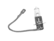 BULB RPL A-704 Mercury 804725