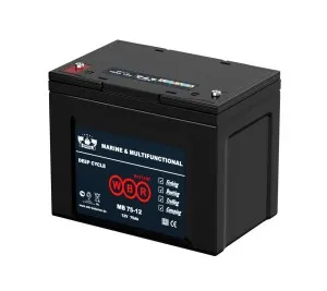 Аккумулятор WBR-50AGM