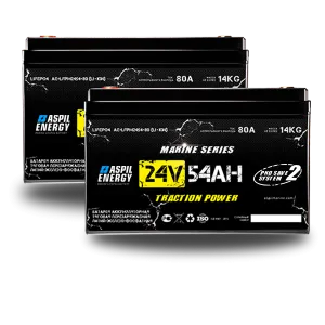 АКБ Aspil Energy 24V 108Ah (ан. GEL/AMG 180Ah) AE-LFP2454x2 (21006117/21006817)