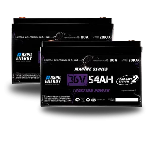 АКБ Aspil Energy 36 V 108Ah (ан. GEL/AGM 185 Ah) AE-LFP3654*2