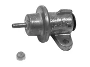 РЕГУЛЯТОР ДАВЛЕНИЯ ТОПЛИВА (43 PSI)