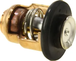 Термостат Yamaha