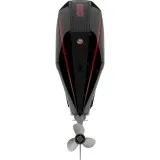 Мотор Mercury F 250 XL ProXS DTS