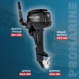 Мотор лодочный PARSUN T9.8BMS