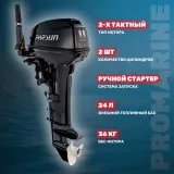 Мотор лодочный PARSUN T9.9BMS																														