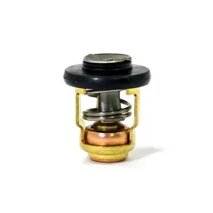 Термостат Yamaha 6E5-12411-30