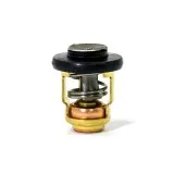 Термостат Yamaha 6E5-12411-30