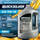 Масло 4-х тактное синтетическое 10W30 (4л)