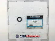 УПЛОТНЕНИЕ Масло Mercury 16977