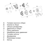 Трехкамерный мембранный насос 33 SERIES 10,6 л/мин, 12В