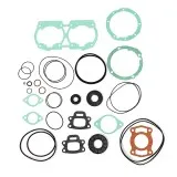 Полный комплект прокладок BRP 580 007-620