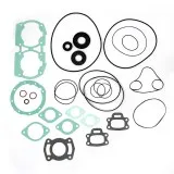 Полный комплект прокладок BRP 650 007-621