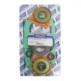 Полный комплект прокладок BRP 951 007-624-05