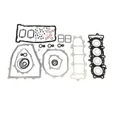 Полный комплект прокладок Kawasaki 600 см³ P400250850005